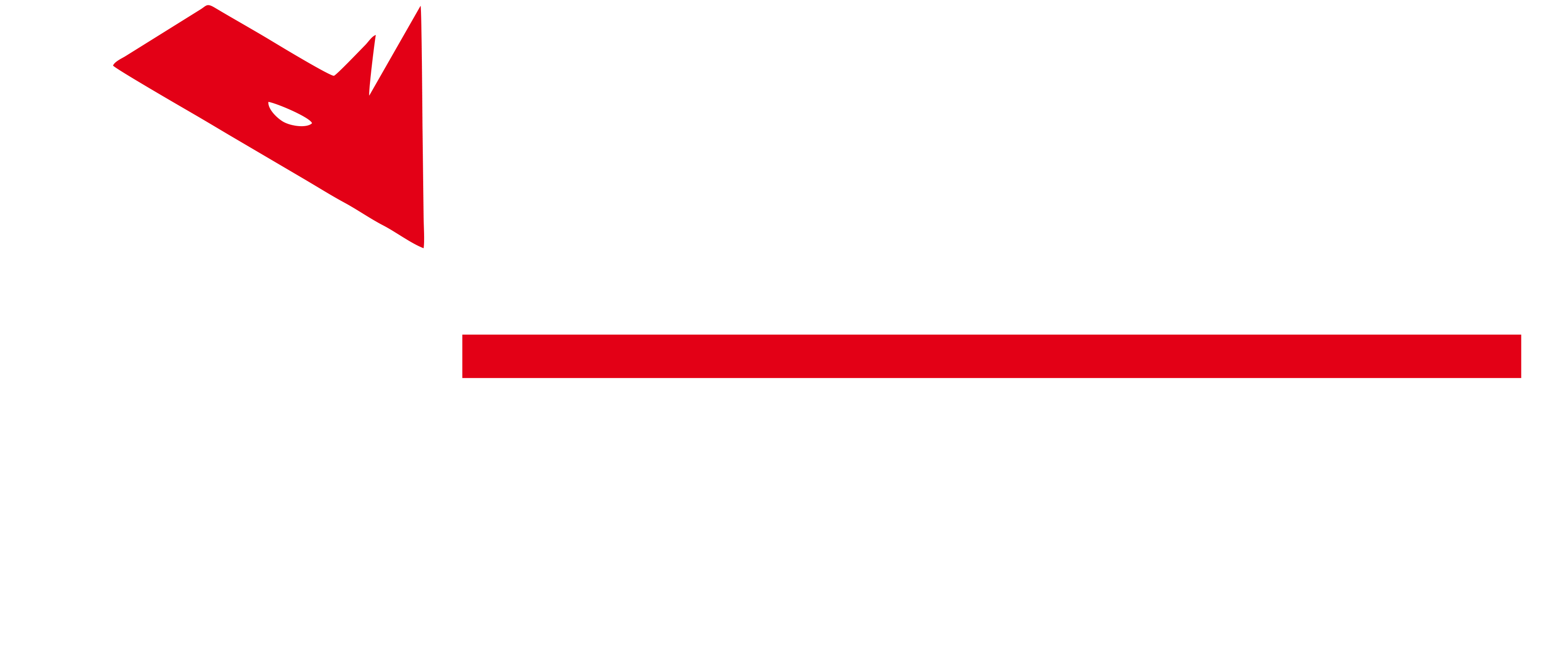 Rhino Proteção Veicular